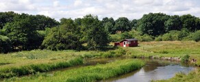 Karup: leje af privatfly 