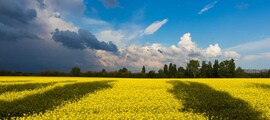 Belbek Sevastopol: leje af privatfly