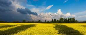 Khmelnitsky : leje af privatfly