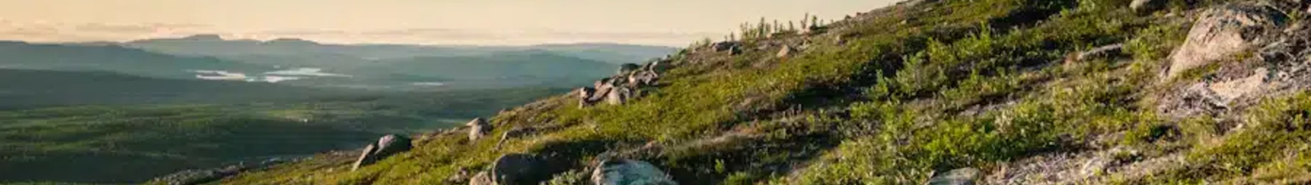 Kiruna: leje af privatfly