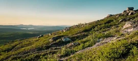 Emmaboda: leje af privatfly