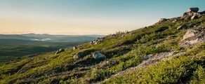 Kiruna: leje af privatfly