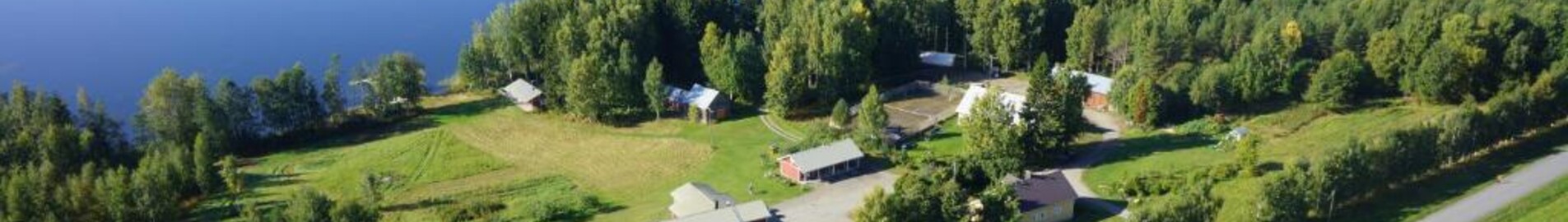 Kitee : leje af privatfly 