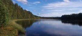 Kauhava: leje af privatfly 