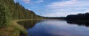 Kokemaki Piikajarvi: leje af privatfly 