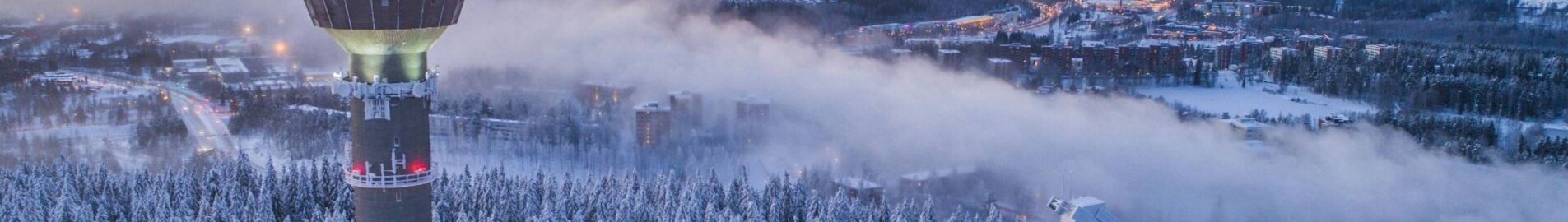 Kuopio: leje af privatfly 