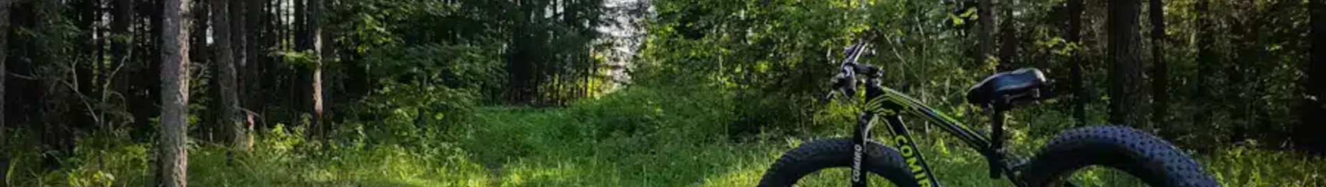 Kurgan: privat jetudlejning