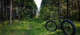 Kemerovo: leje af privatfly