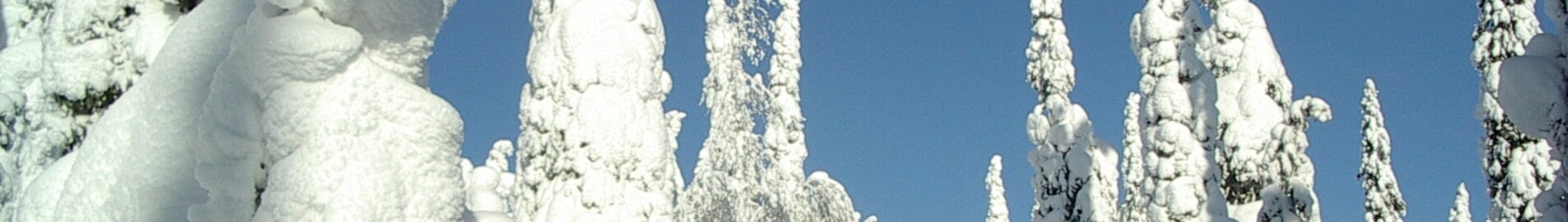 Kuusamo: leje af privatfly 
