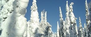 Kuusamo: leje af privatfly 