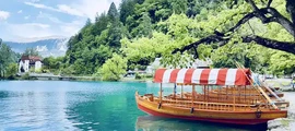 Slovenj Gradec: leje af privatfly