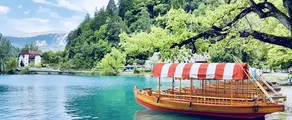 Lesce Bled: leje af privatfly