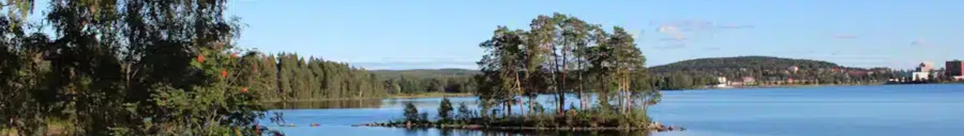 Ludvika: leje af privatfly