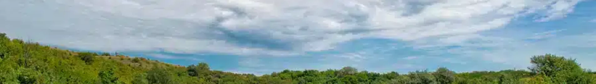 Luhansk: leje af privatfly