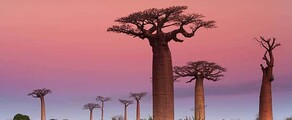 Madagaskar : Privat jetudlejning