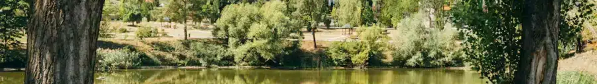Moldova: Udlejning af privatfly