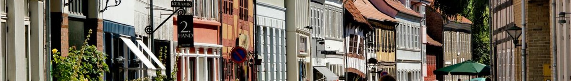 Odense: leje af privatfly 