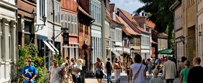 Odense: leje af privatfly 