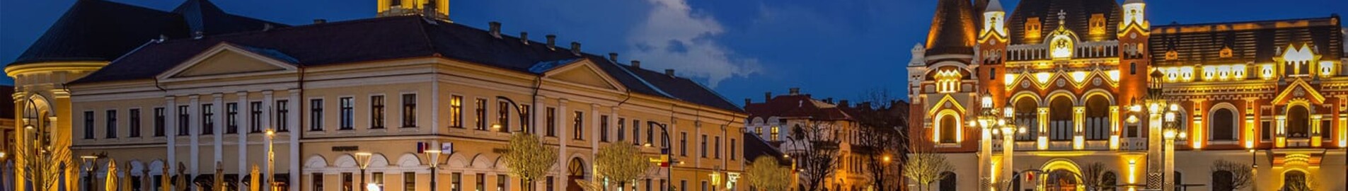 Oradea: leje af privatfly 