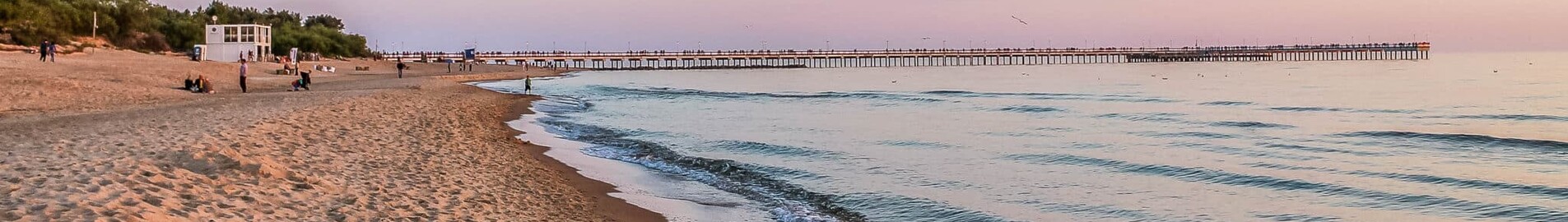 Palanga: leje af privatfly 