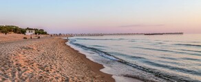 Palanga: leje af privatfly 