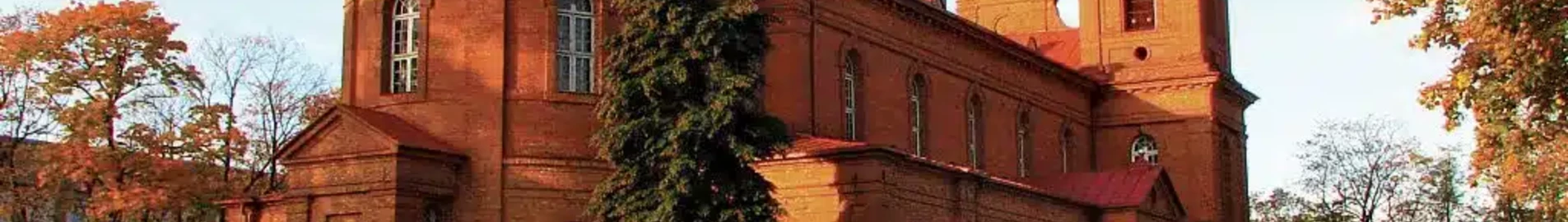 Panevezys Pajuostis: leje af privatfly 