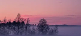 Ludvika: leje af privatfly