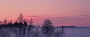 Pitea: udlejning af privatfly