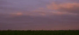 Donetsk: leje af privatfly