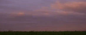 Poltava: leje af privatfly