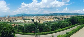 Lamezia Preturo: leje af privatfly 