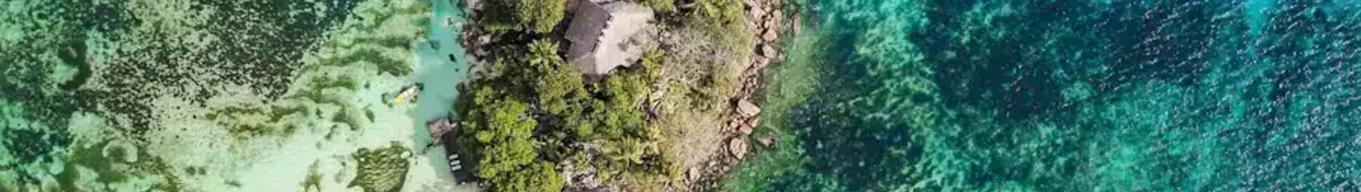 Praslin: leje af privat jetfly