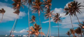 Barahona Maria Montez: leje af privatfly