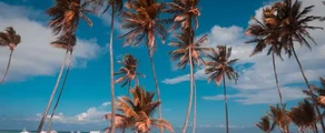 Punta Cana: leje af privatfly