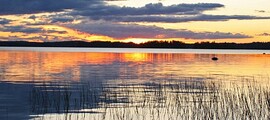 Ylivieska : leje af privatfly 