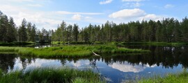 Enontekio: leje af privatfly 