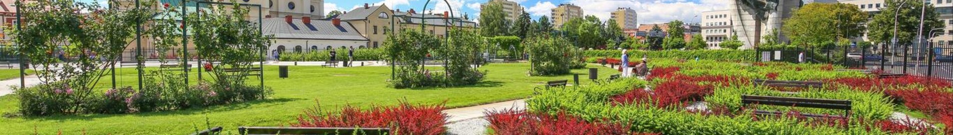 Rzeszow Jasionka: leje af privatfly 