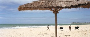 Sambava Sud: leje af privatfly
