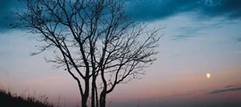 Blagoveschensk Ignatyevo: privat jetudlejning