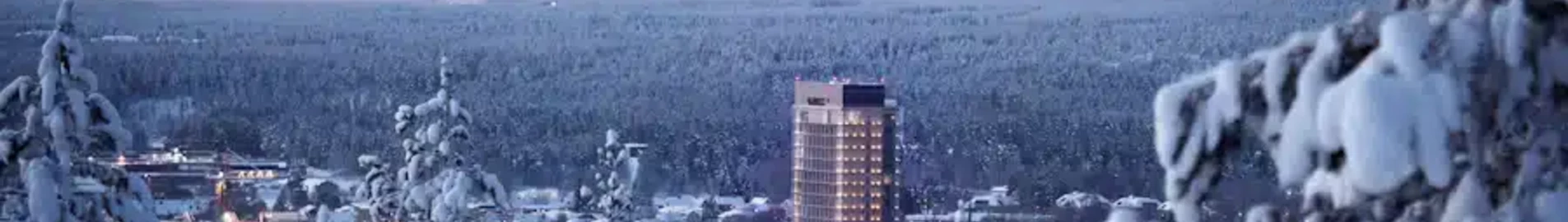 Skellefteå: leje af privatfly