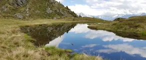 Johann-tirol: leje af privatfly