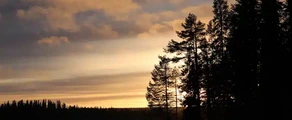 Stromsund Hallviken: leje af privatfly