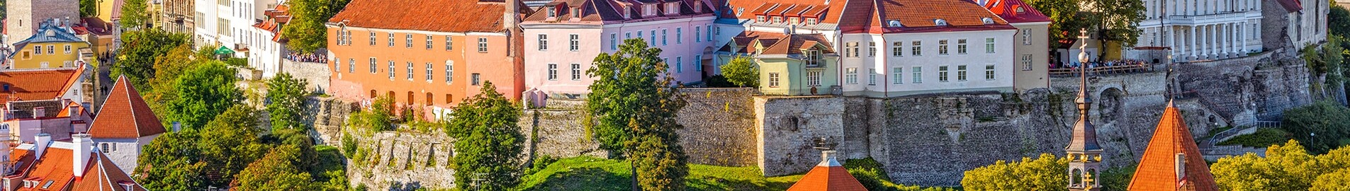 Tallinn: leje af privatfly 