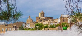 Forli: leje af privatfly 
