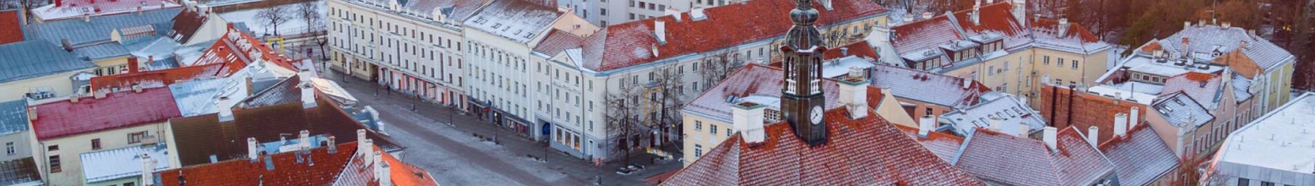 Tartu: leje af privatfly 