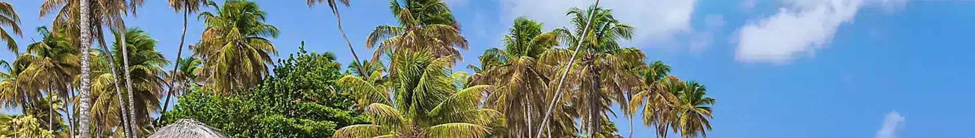Tobago Scarborough Crown Point: privat jetudlejning 