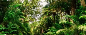 Trinidad & Tobago: Privat jetudlejning