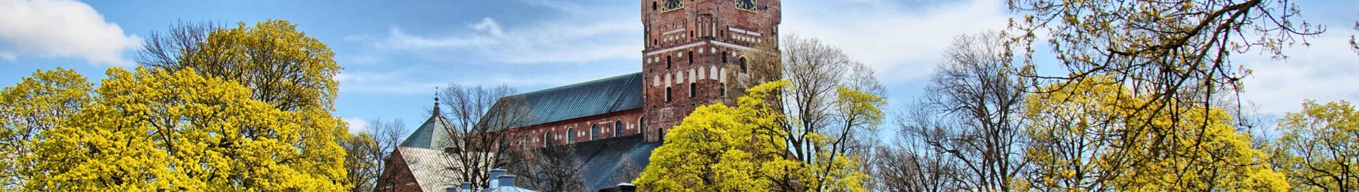Turku: leje af privatfly 