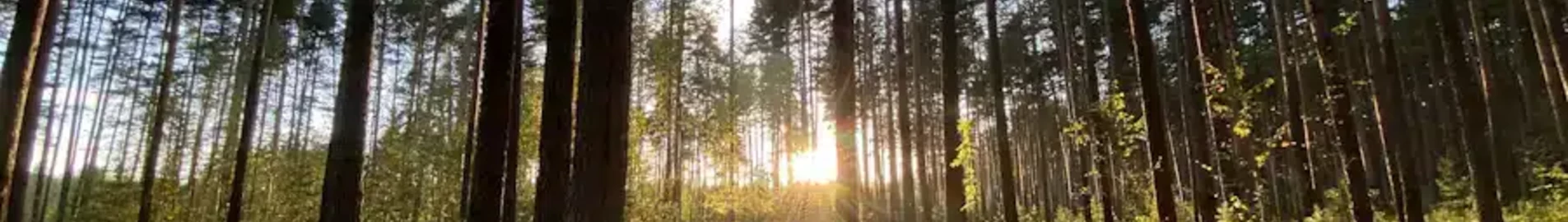 Tver Migalovo: leje af privatfly