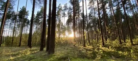 Cheboksary: leje af privatfly